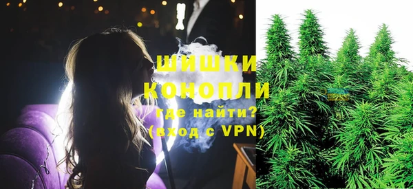 шишки Балахна