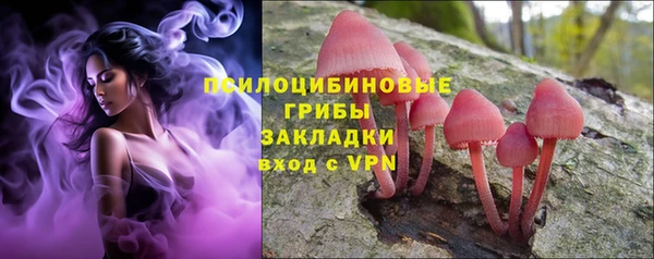 шишки Балахна
