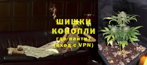 шишки Балахна