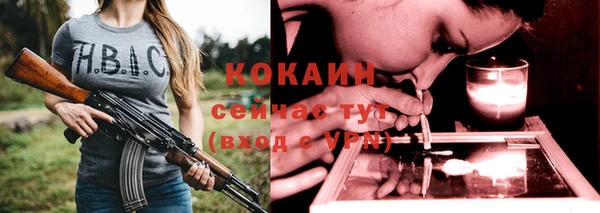 шишки Балахна