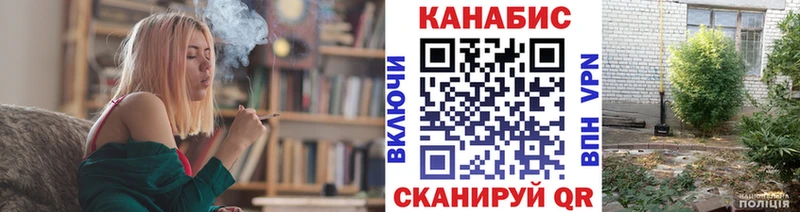 Шишки марихуана OG Kush  Пугачёв 